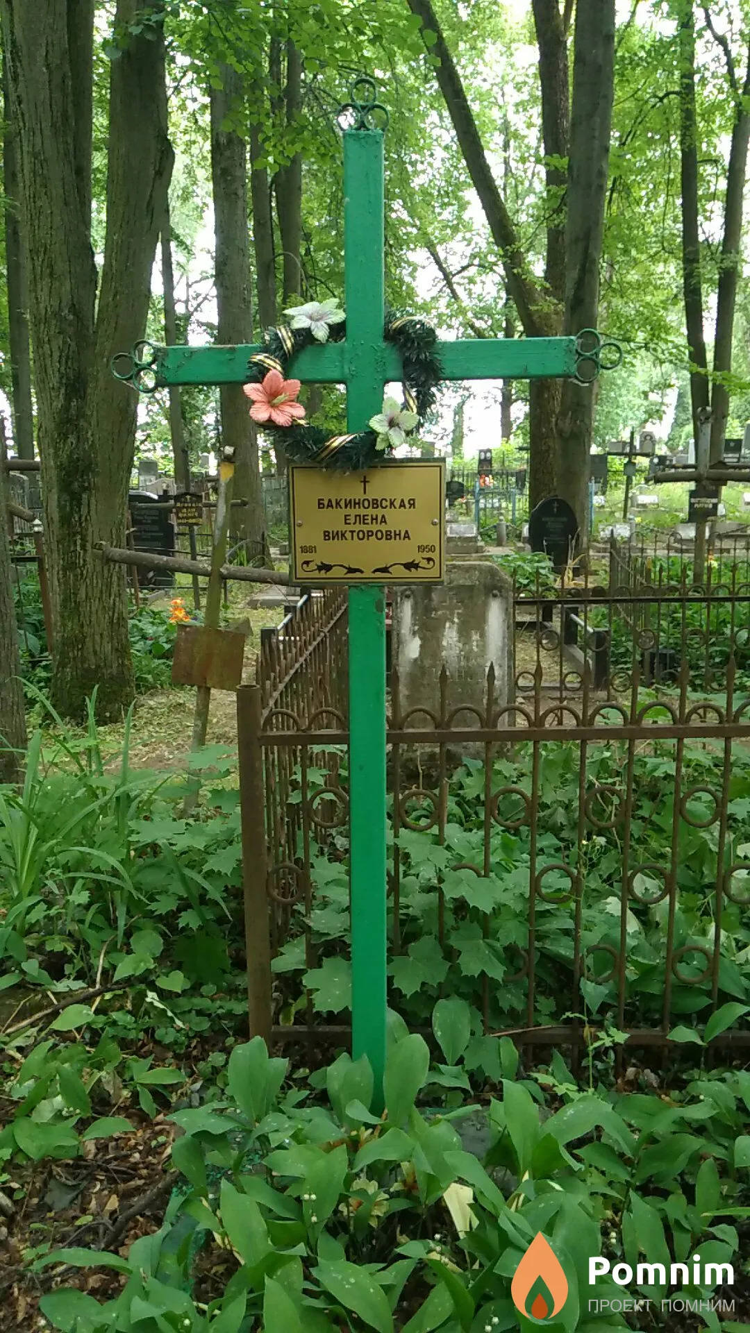 Бакиновская Елена Викторовна