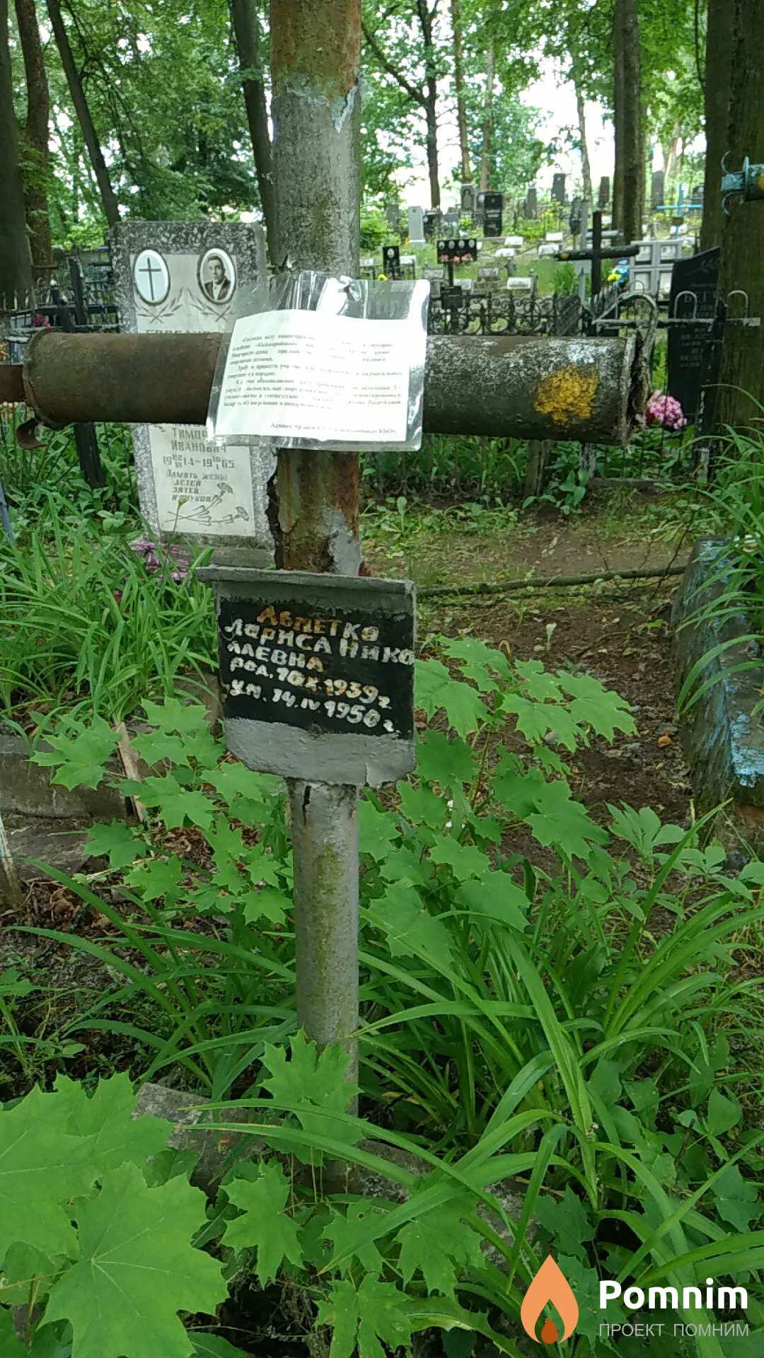 Абметко Лариса Николаевна