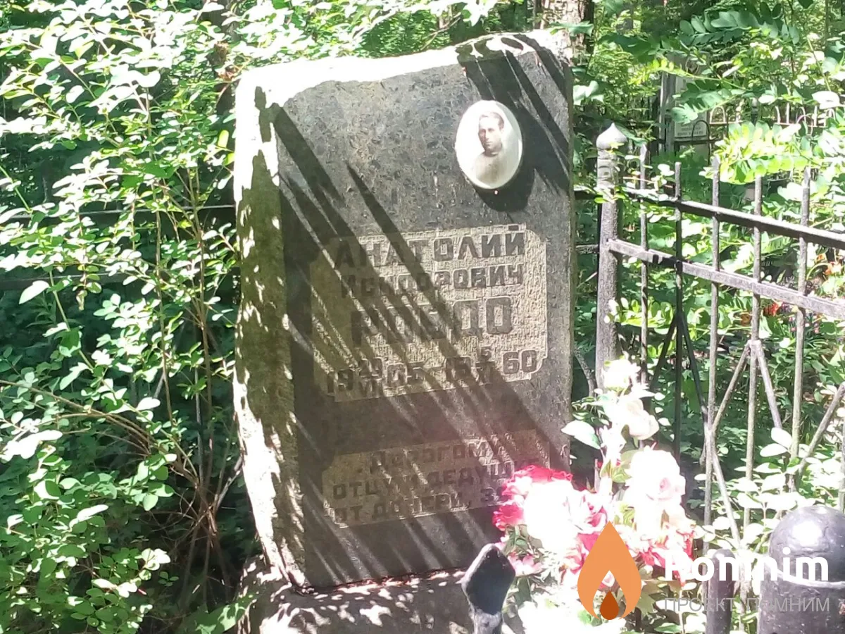 Ровдо Анатолий Иосифович