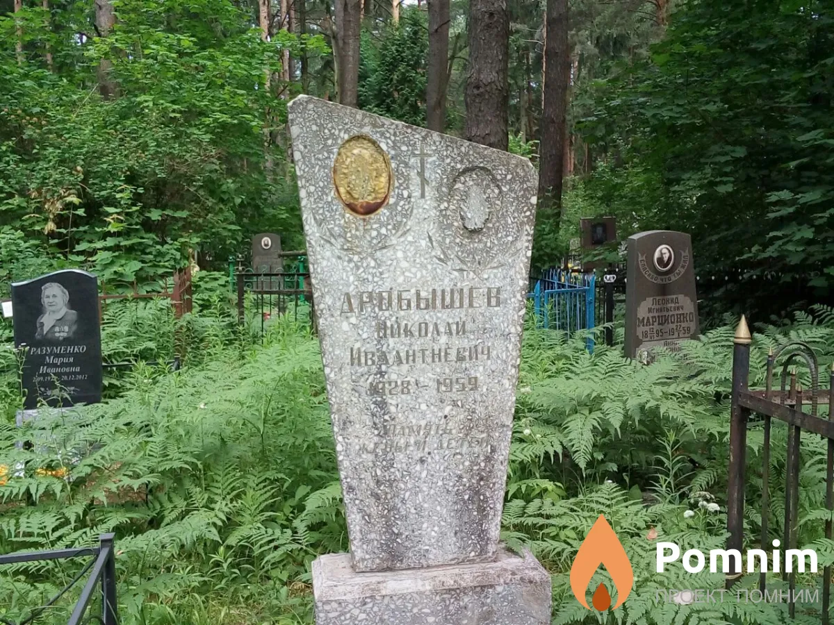 Дробышев Николай Ивлантневич