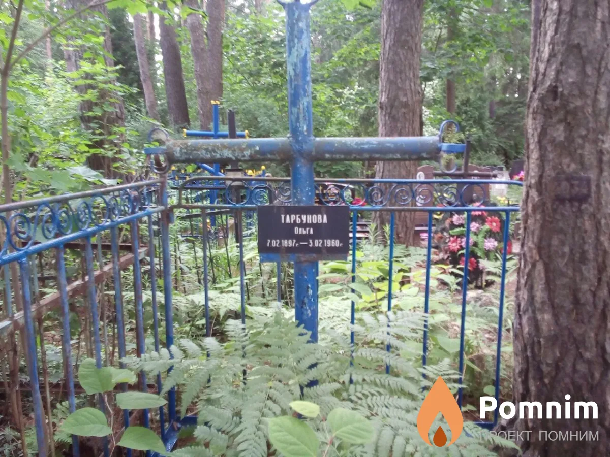 Тарбунова Ольга