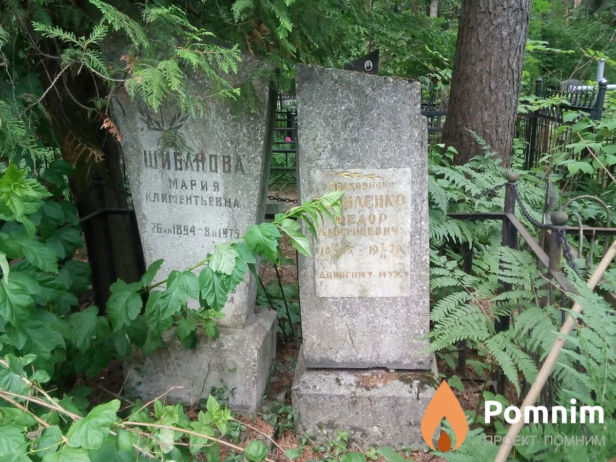 Василенко Федор Дмитриевич