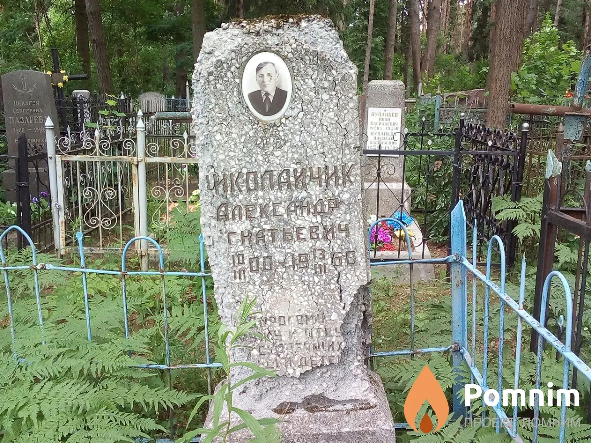 Николайчик Александр Игнатьевич