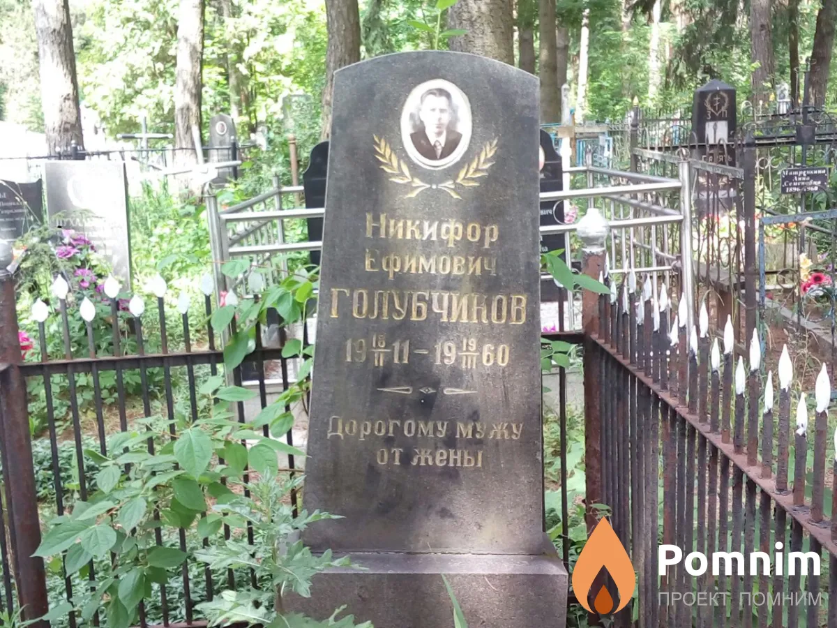 Голубчиков Никифор Ефимович