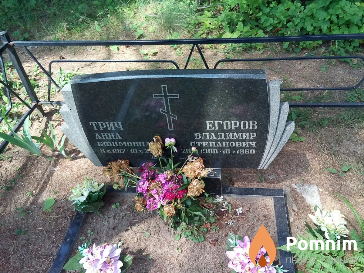 Трич Анна Ефимовна