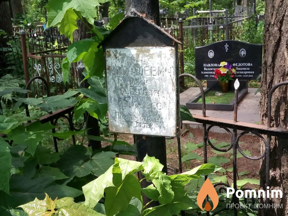 Михалевин Иван Андреевич