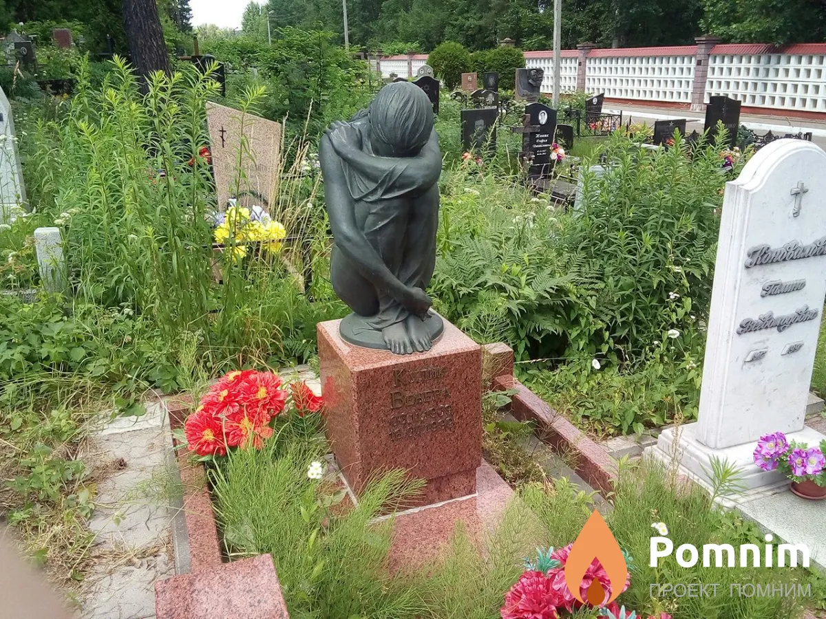 Кулик Венера