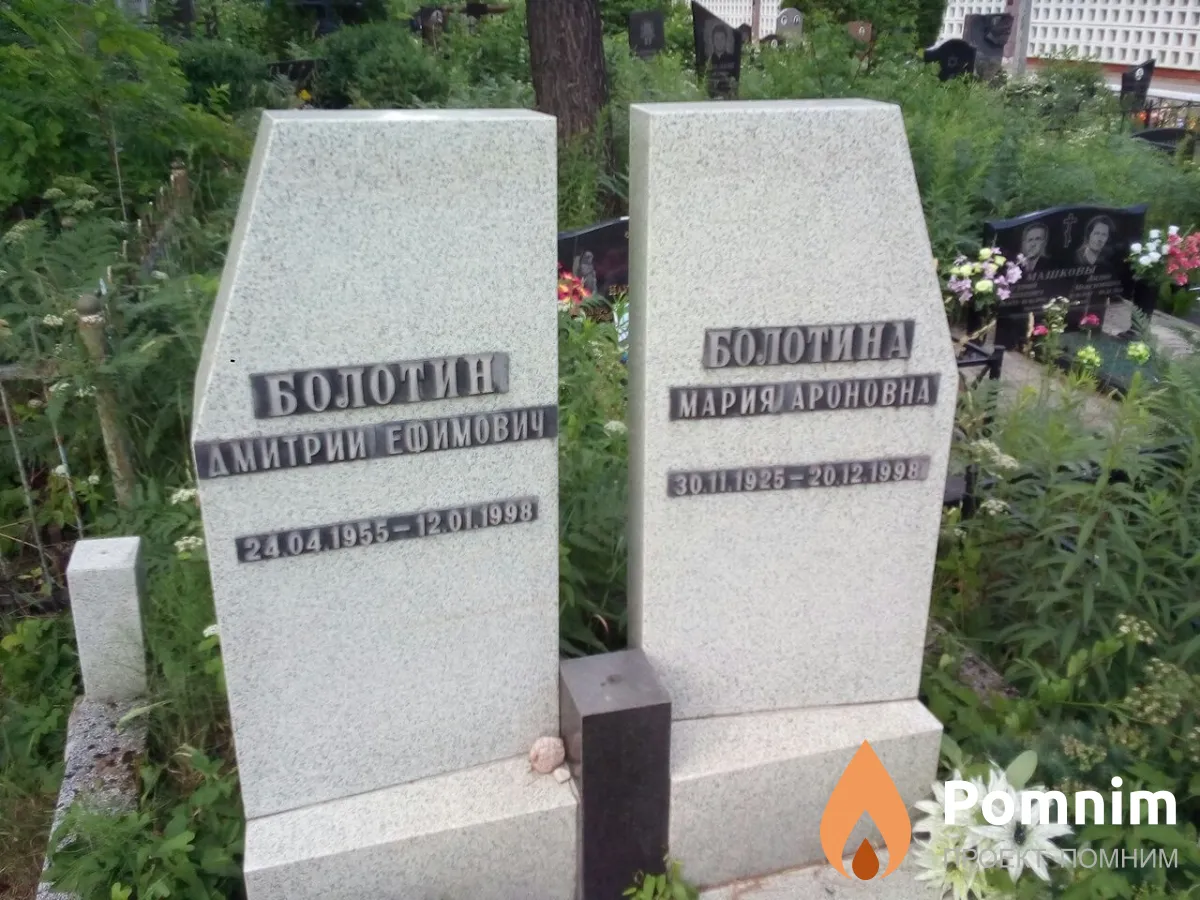 Болотин Дмитрий Ефимович