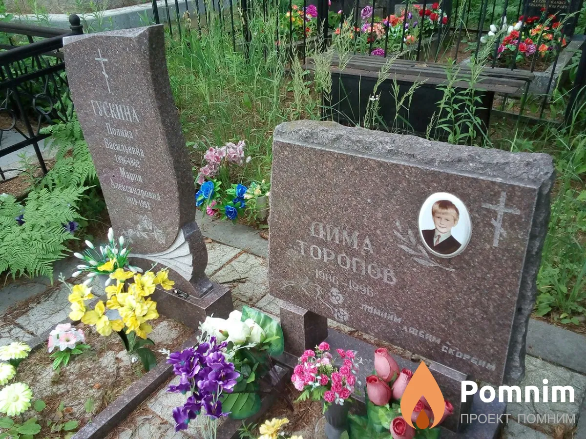 Торопов Дмитрий