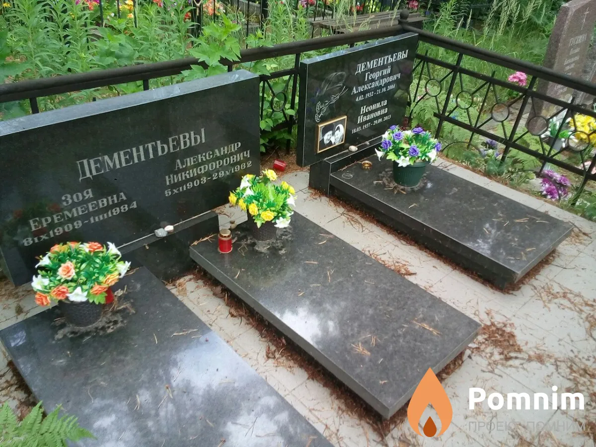Дементьев Георгий Александрович