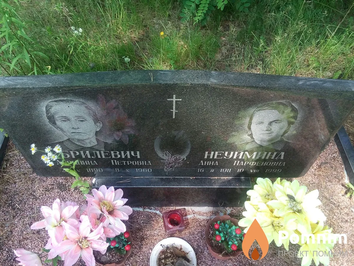 Брилевич Агрипина Петровна