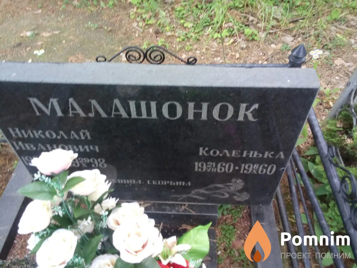 Малашонок Николай