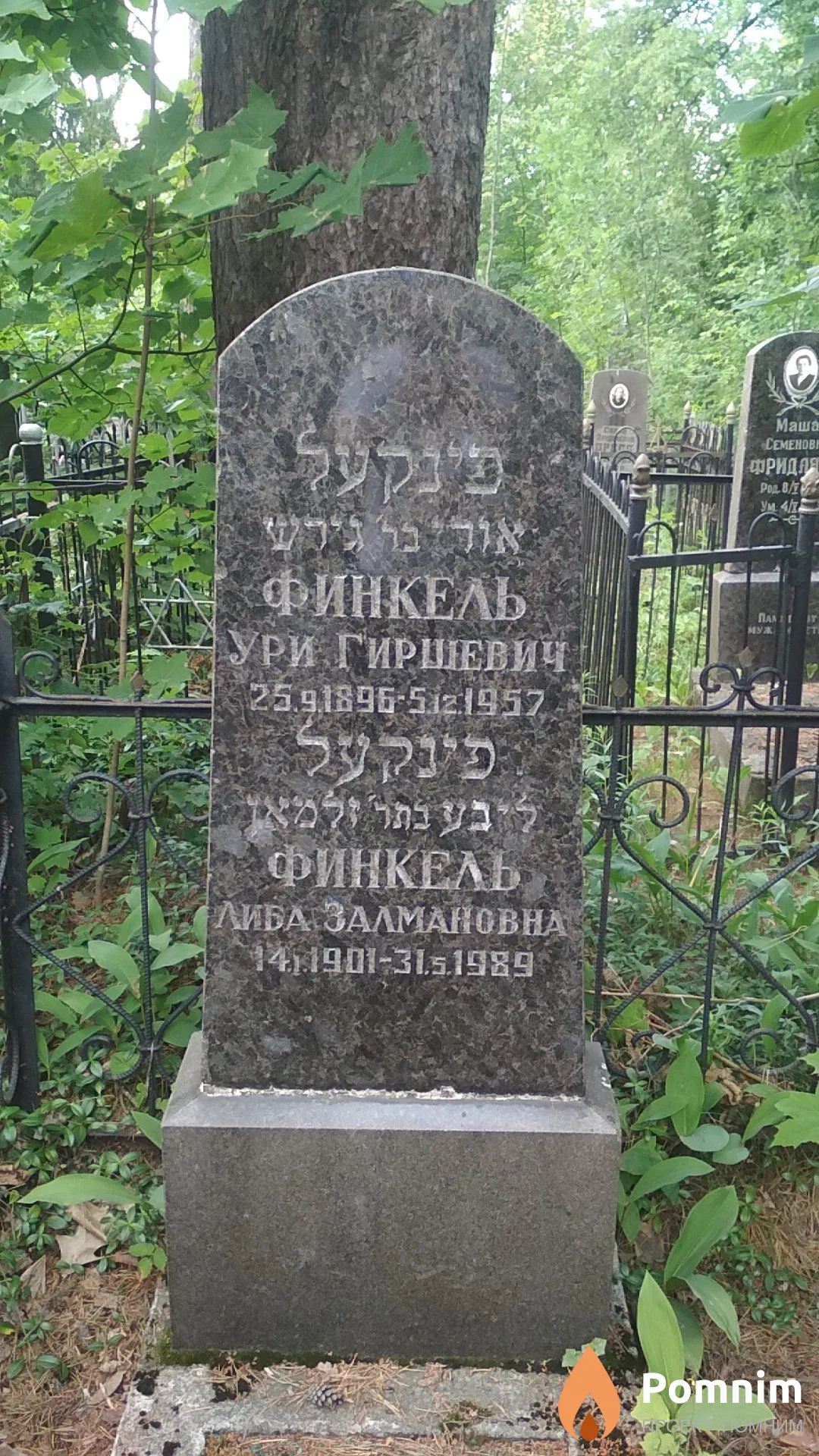 Финкель Либа Залмановна