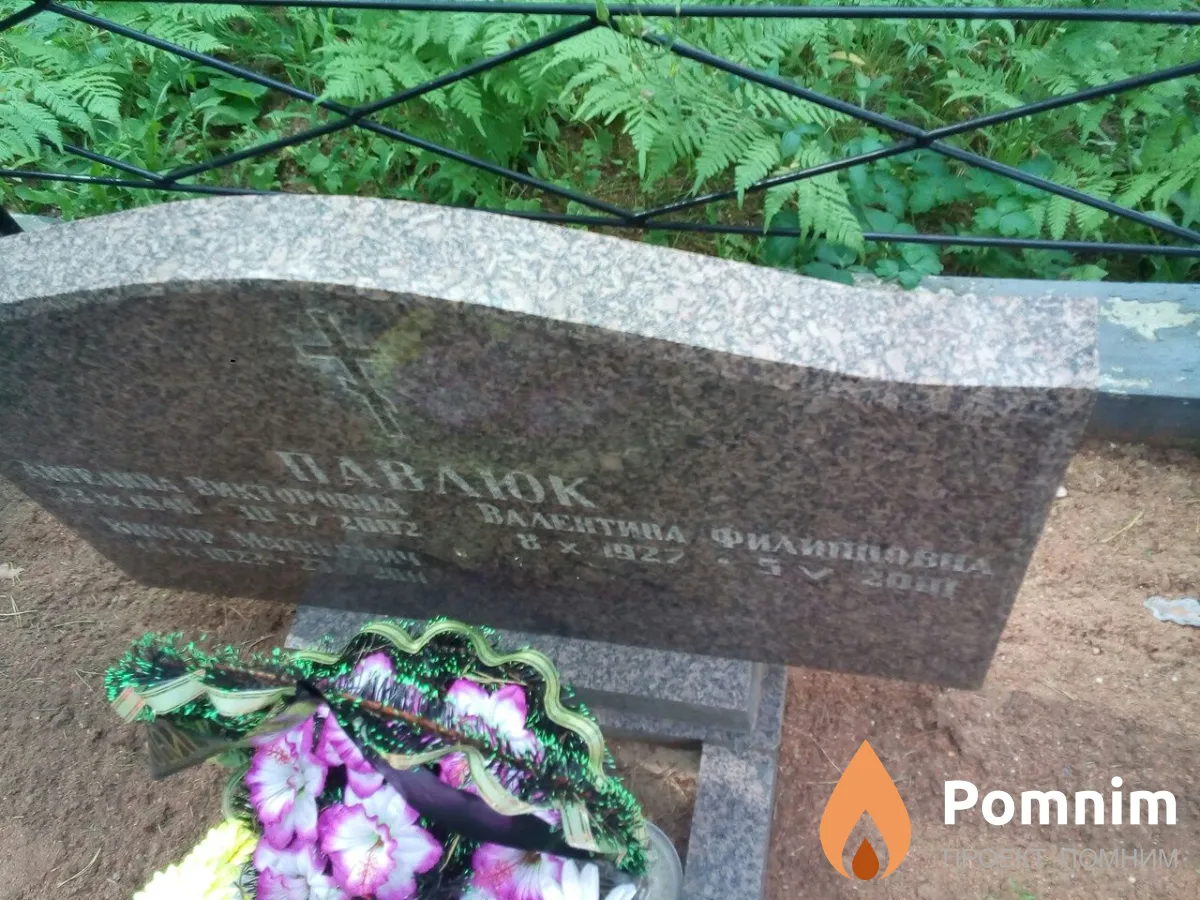 Павлюк Ангелина Викторовна