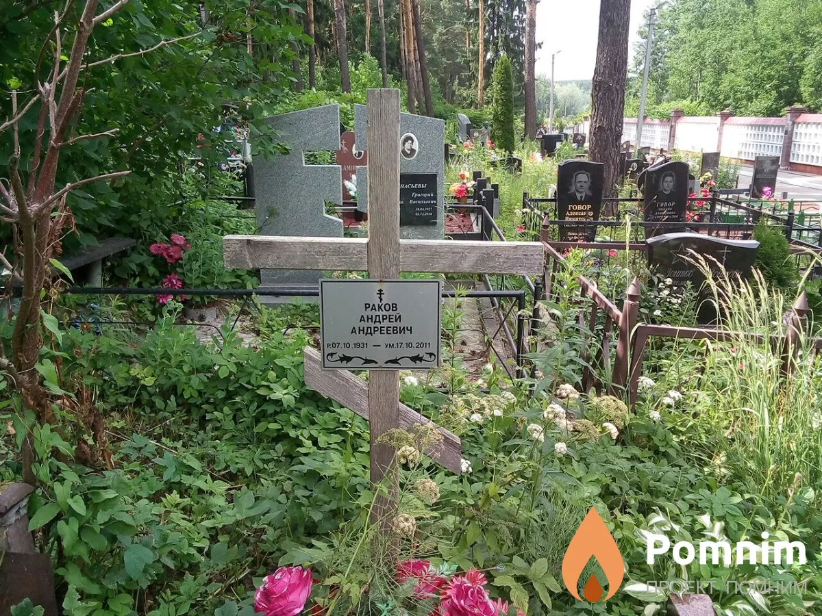 Раков Андрей Андреевич