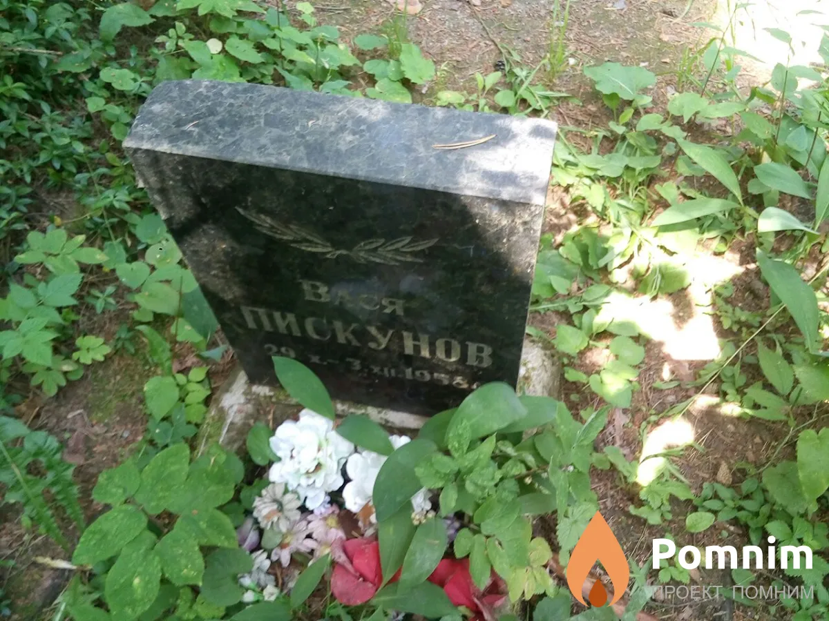 Пикунов Василий
