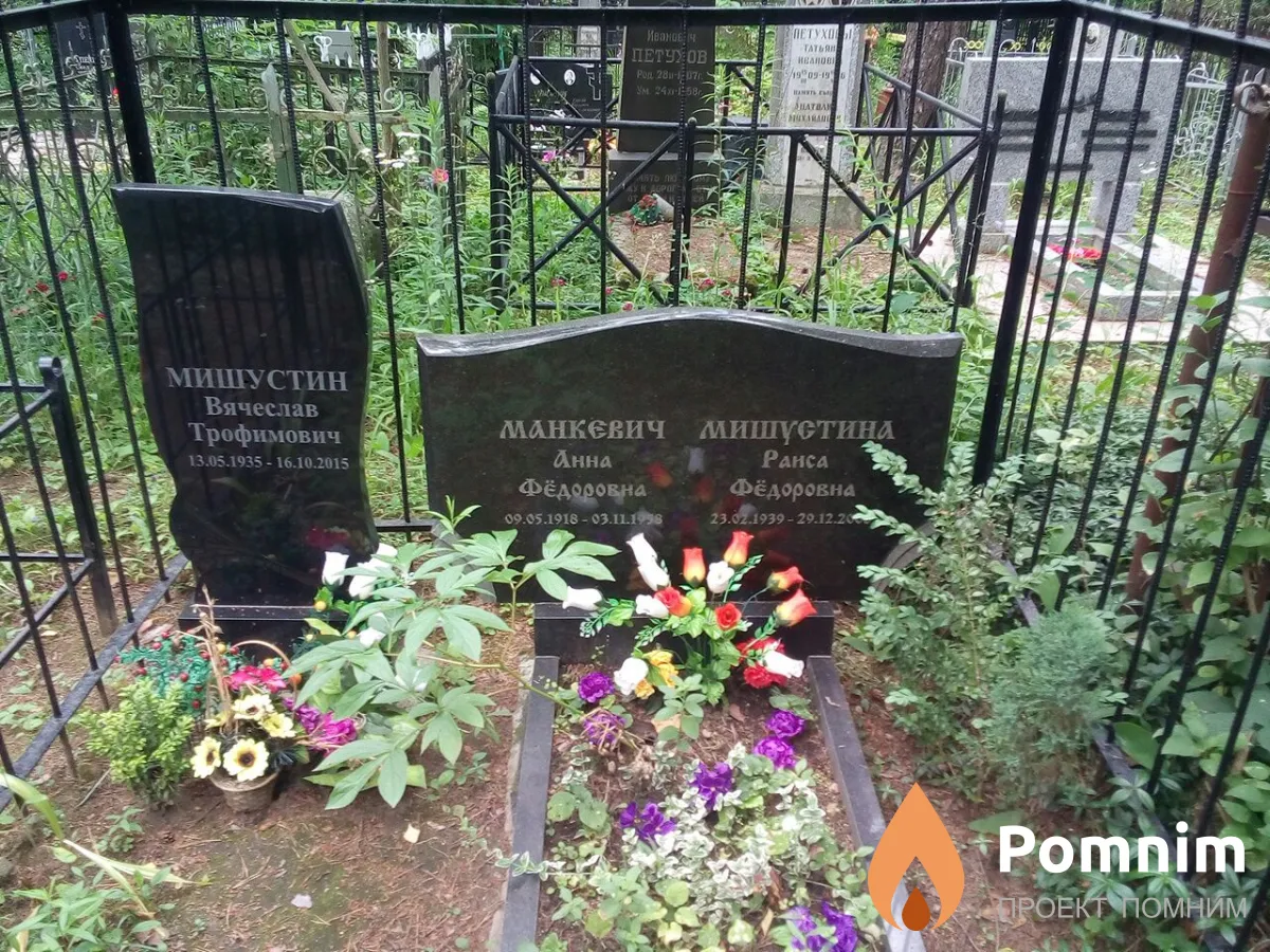 Мишустин Вячеслав Трофимович