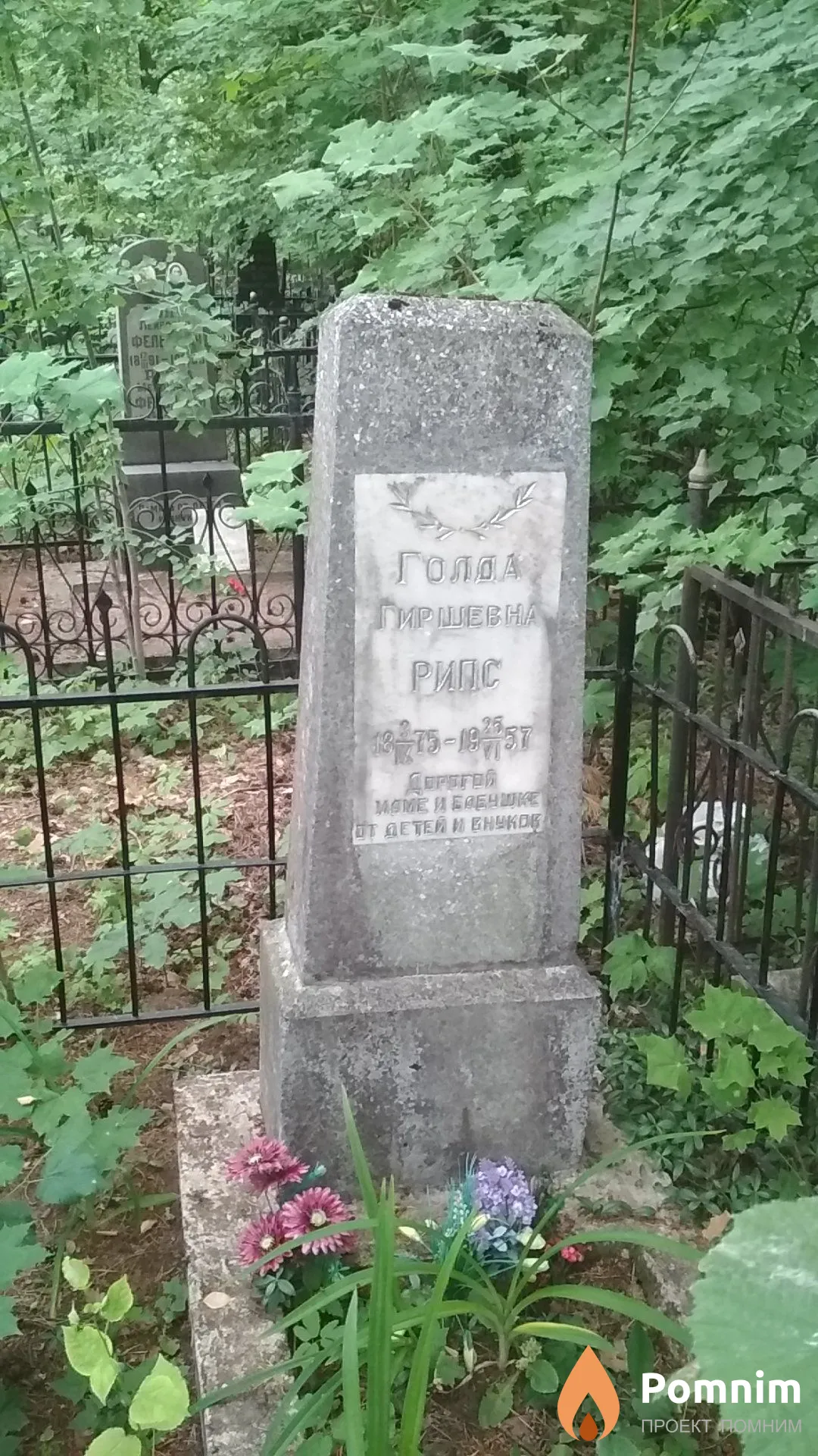 Рипс Голда Гиршевна