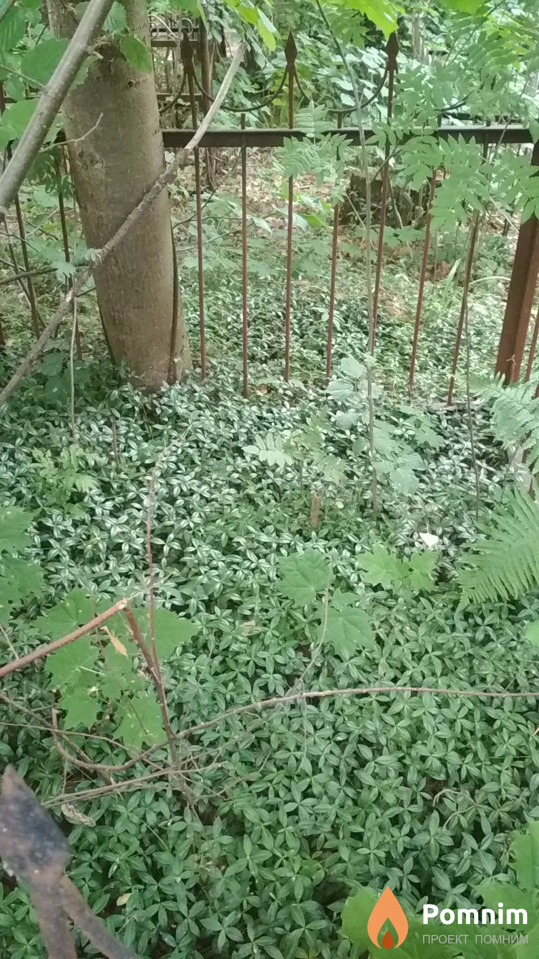 Неизвестно