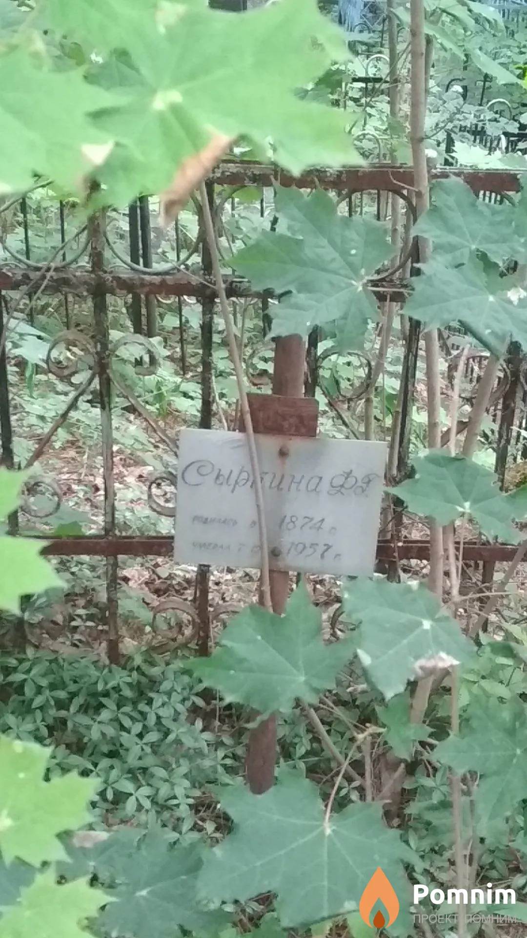 Сыркина Ф Г