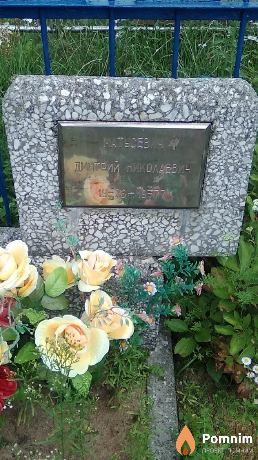 Матусевич Дмитрий Николаевич