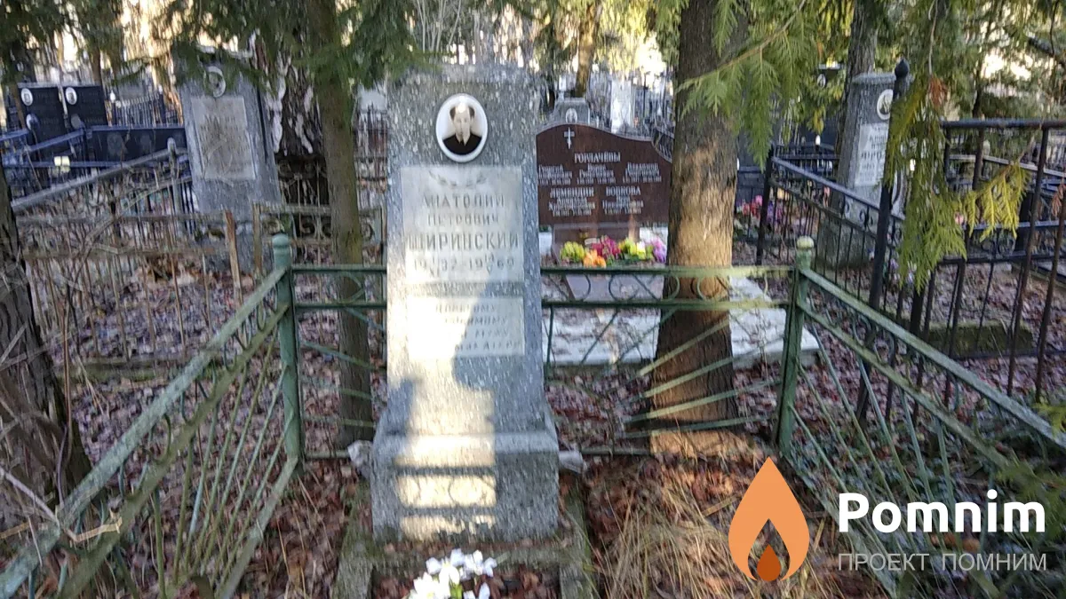 Ширинский Анатолий Петрович