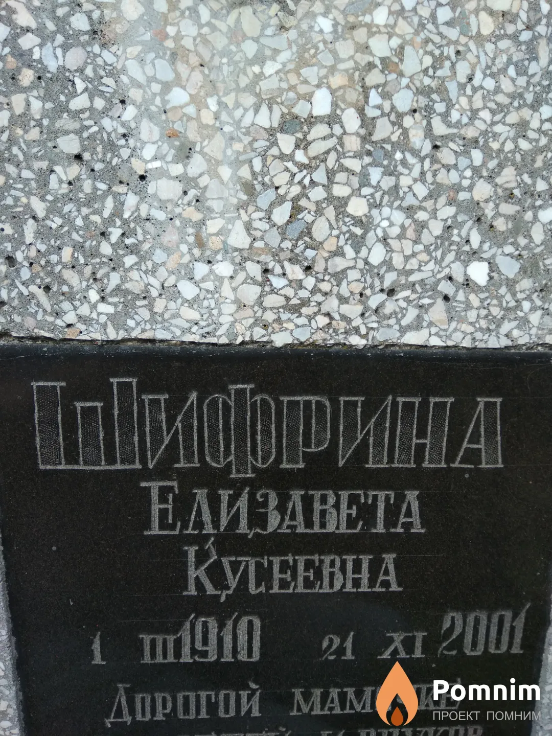 Шифрина Елизавета Кусеевна
