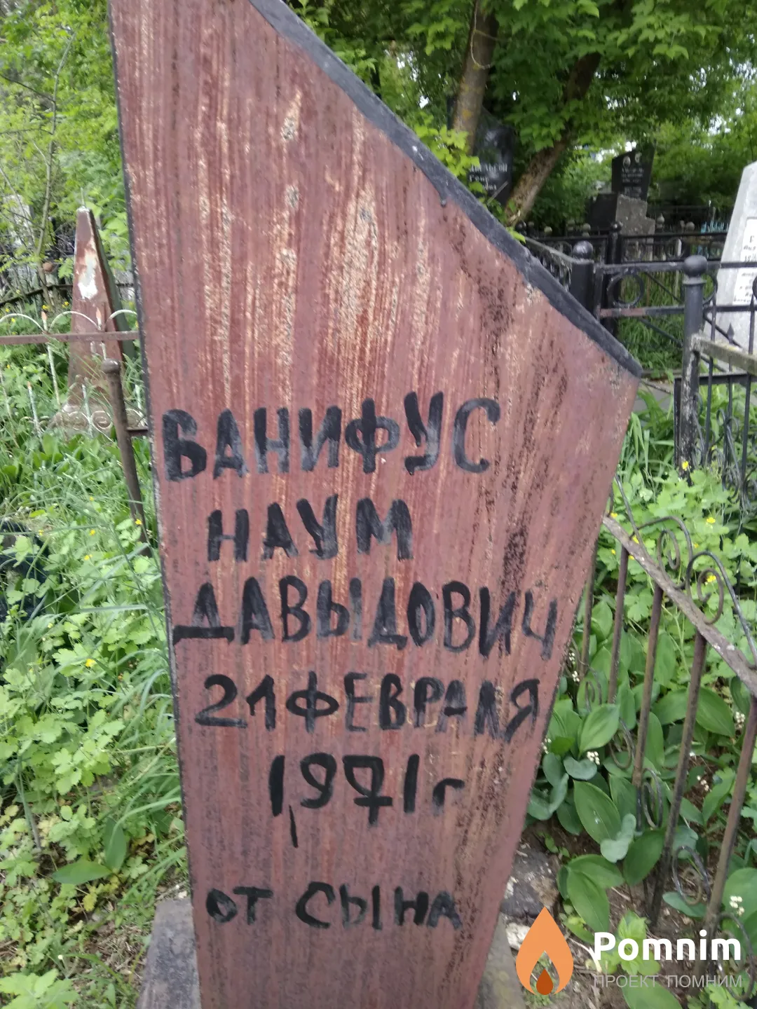 Ванифус Наум Давыдович