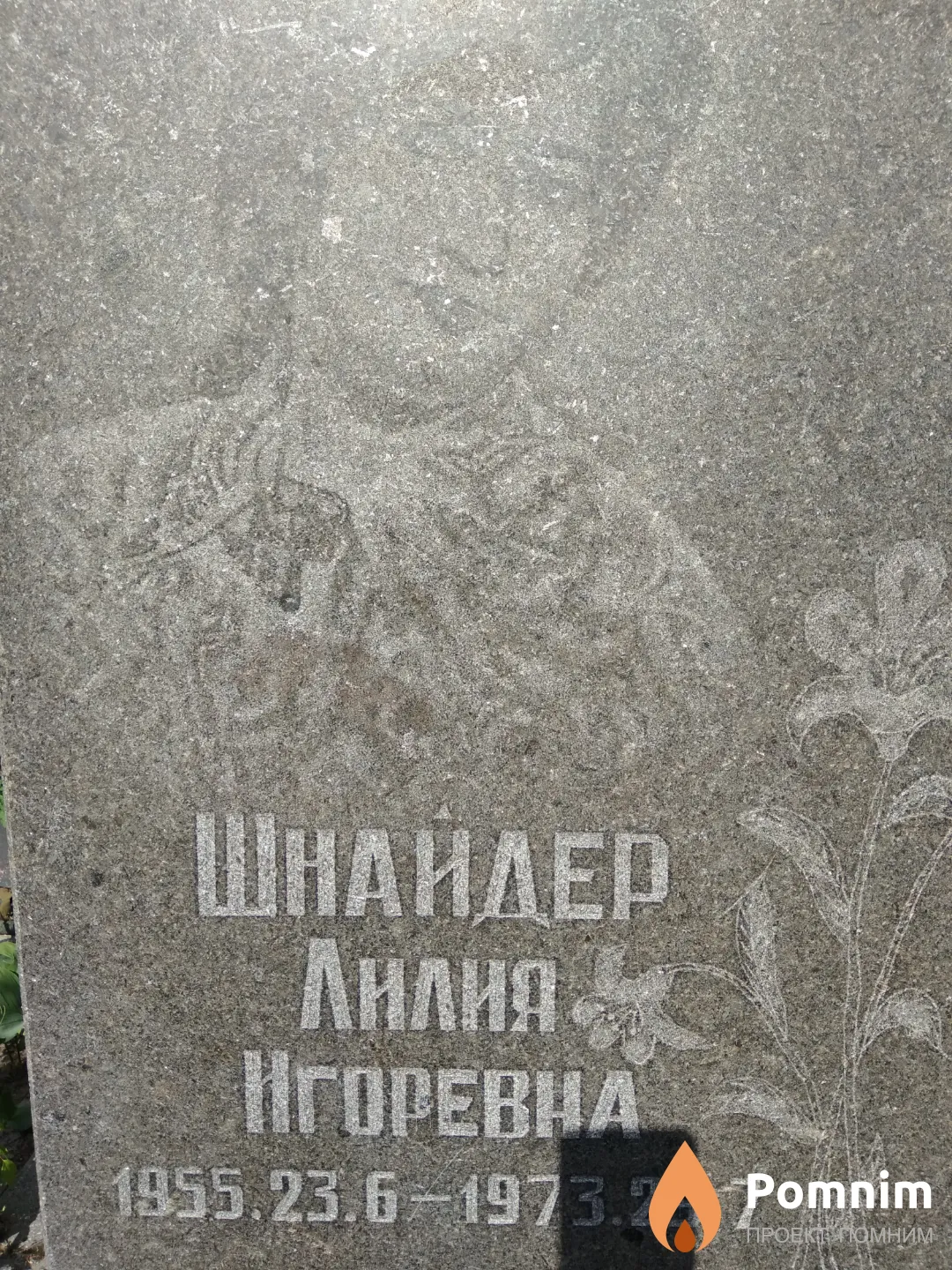 Шнайдер Лилия Игоревна