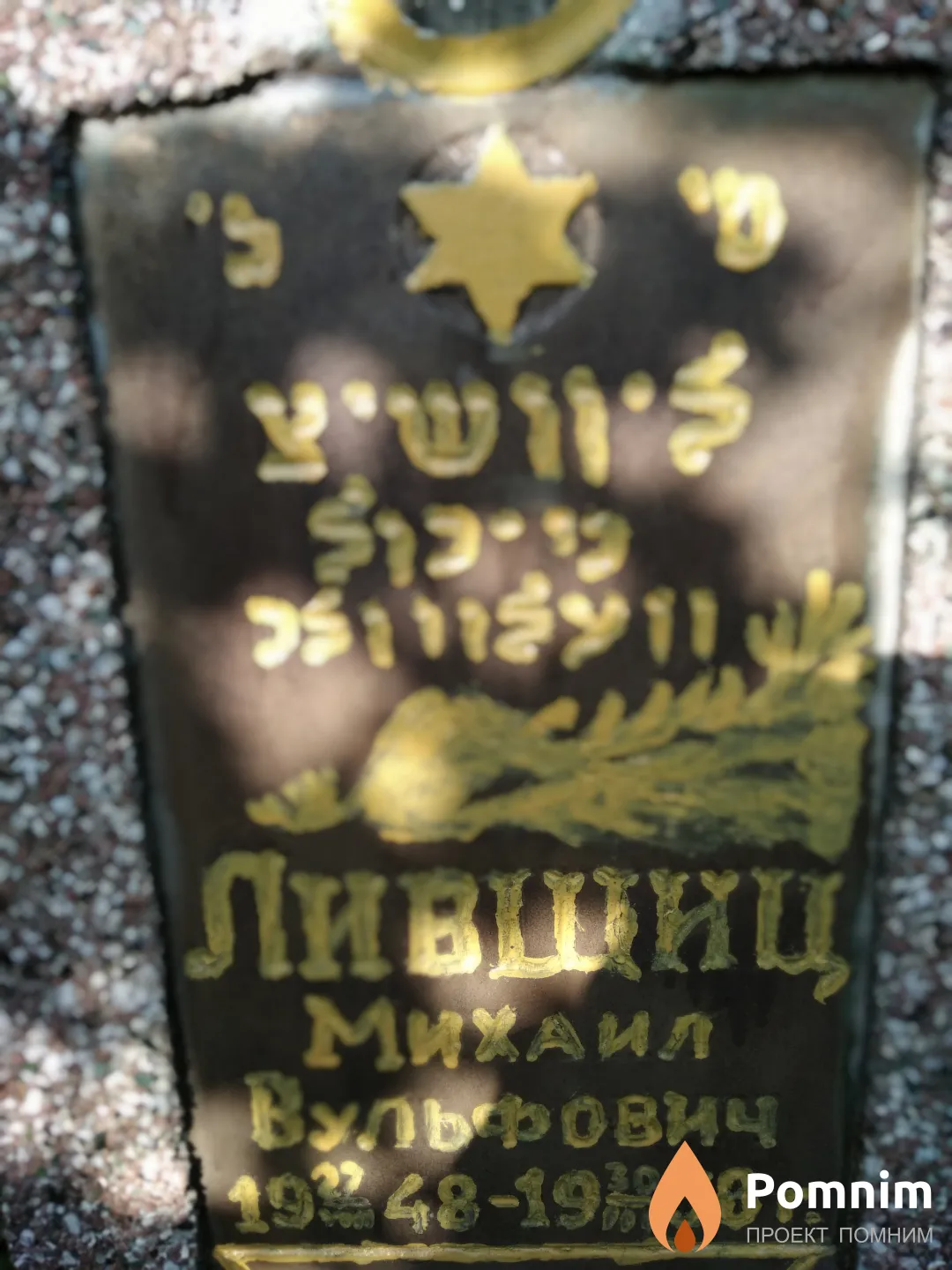 Лившиц Михаил Вульвович