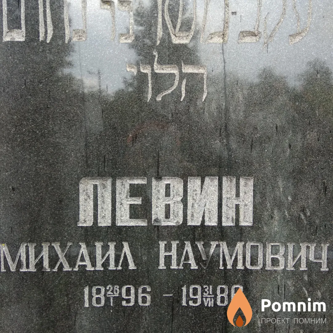 Левин Михаил Наумович