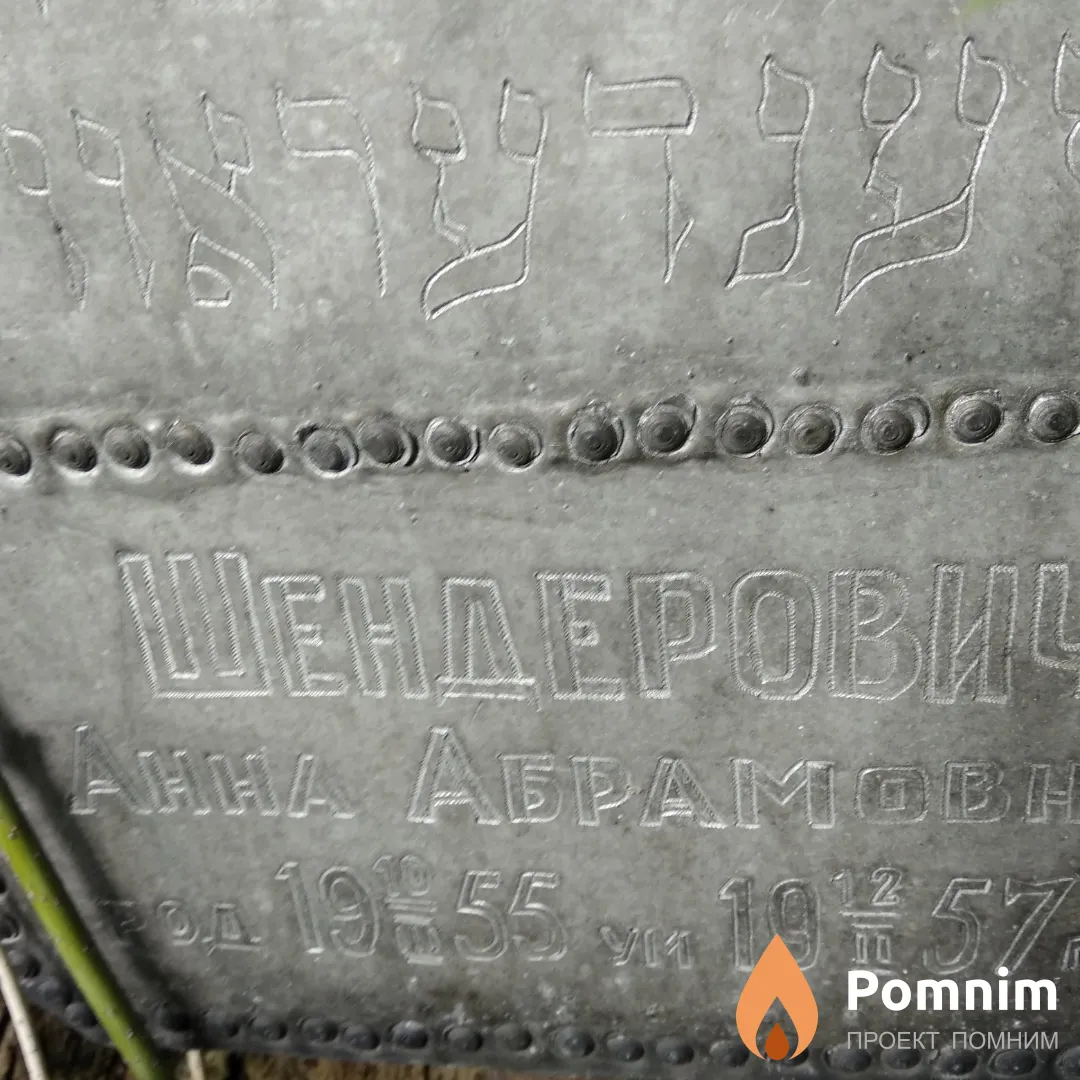 Шендерович Анна Абрамовна