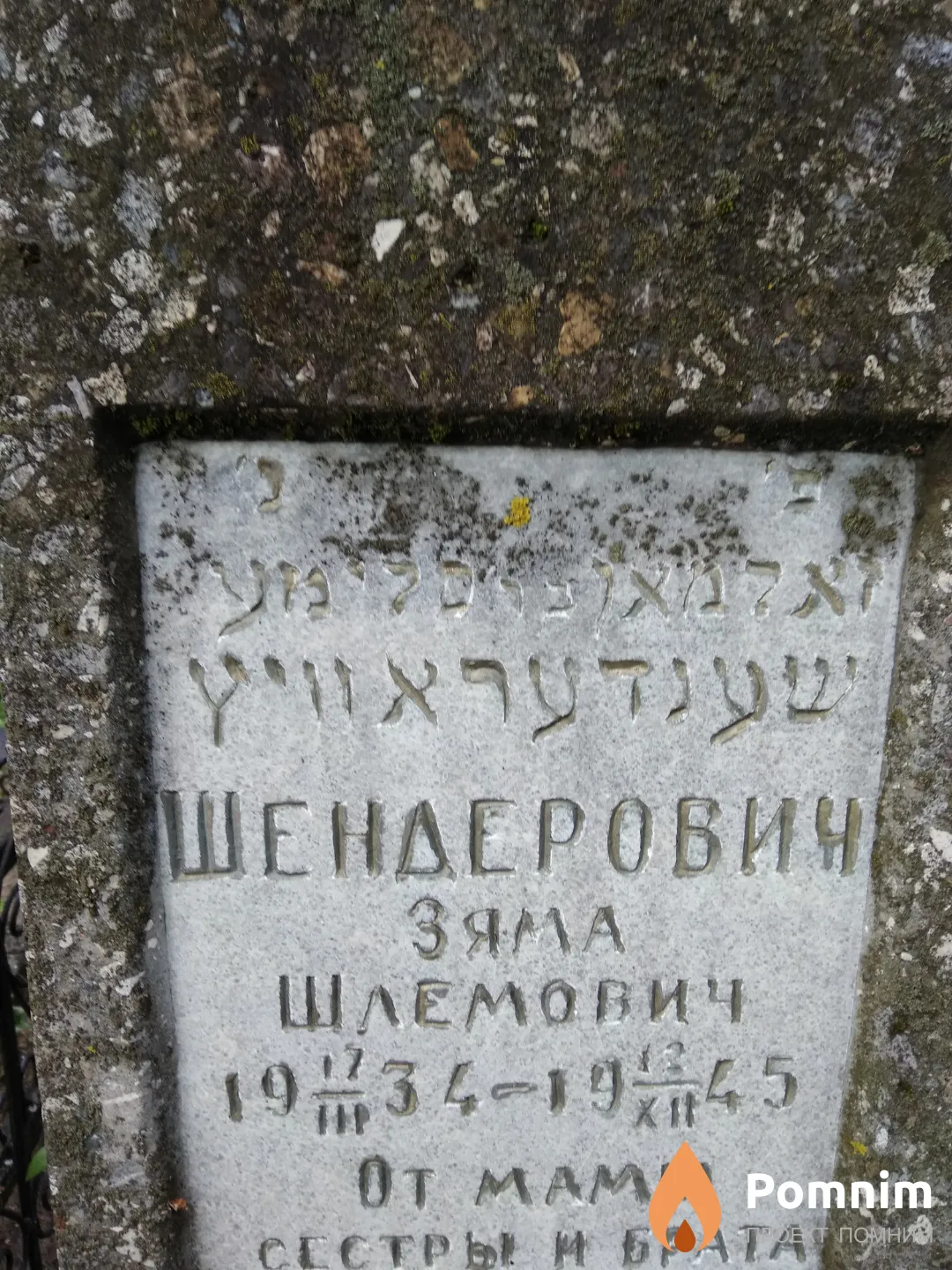 Шендерович Зяма Шлемович