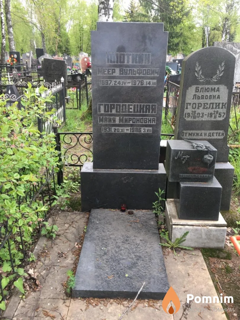 Плоткин Меер Вульфович