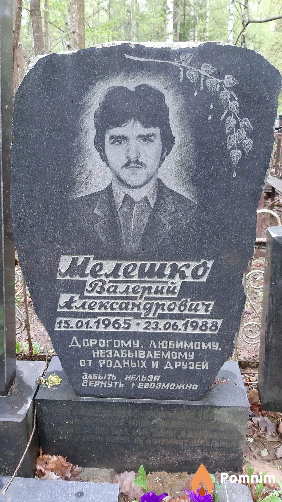 Мелешко Валерий Александрович