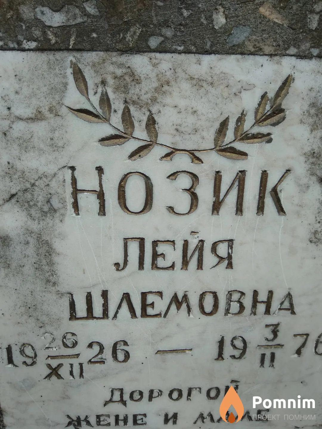 Нозик Лейя Шлемовна