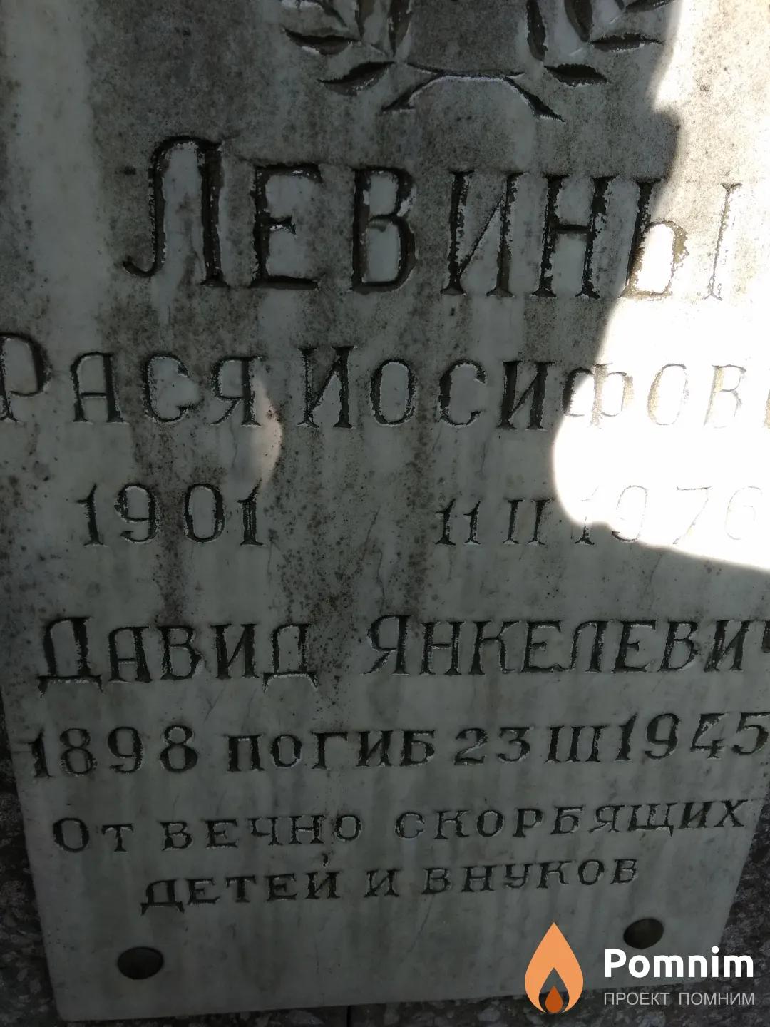 Левин Давид Янкелевич