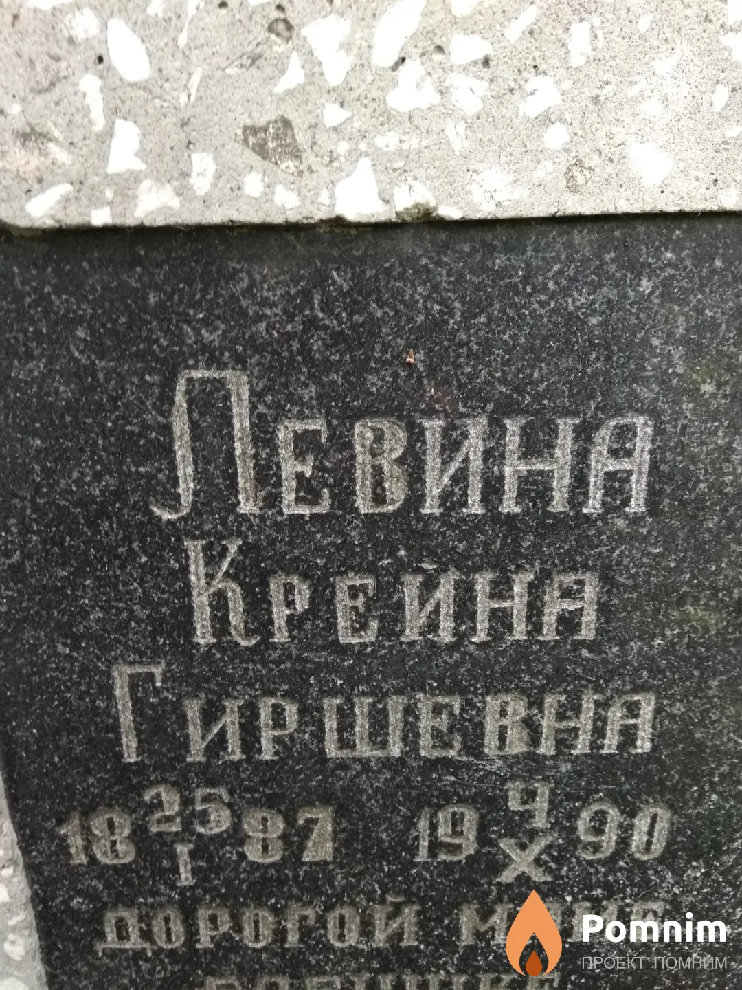 Левина Крейна Гиршевна