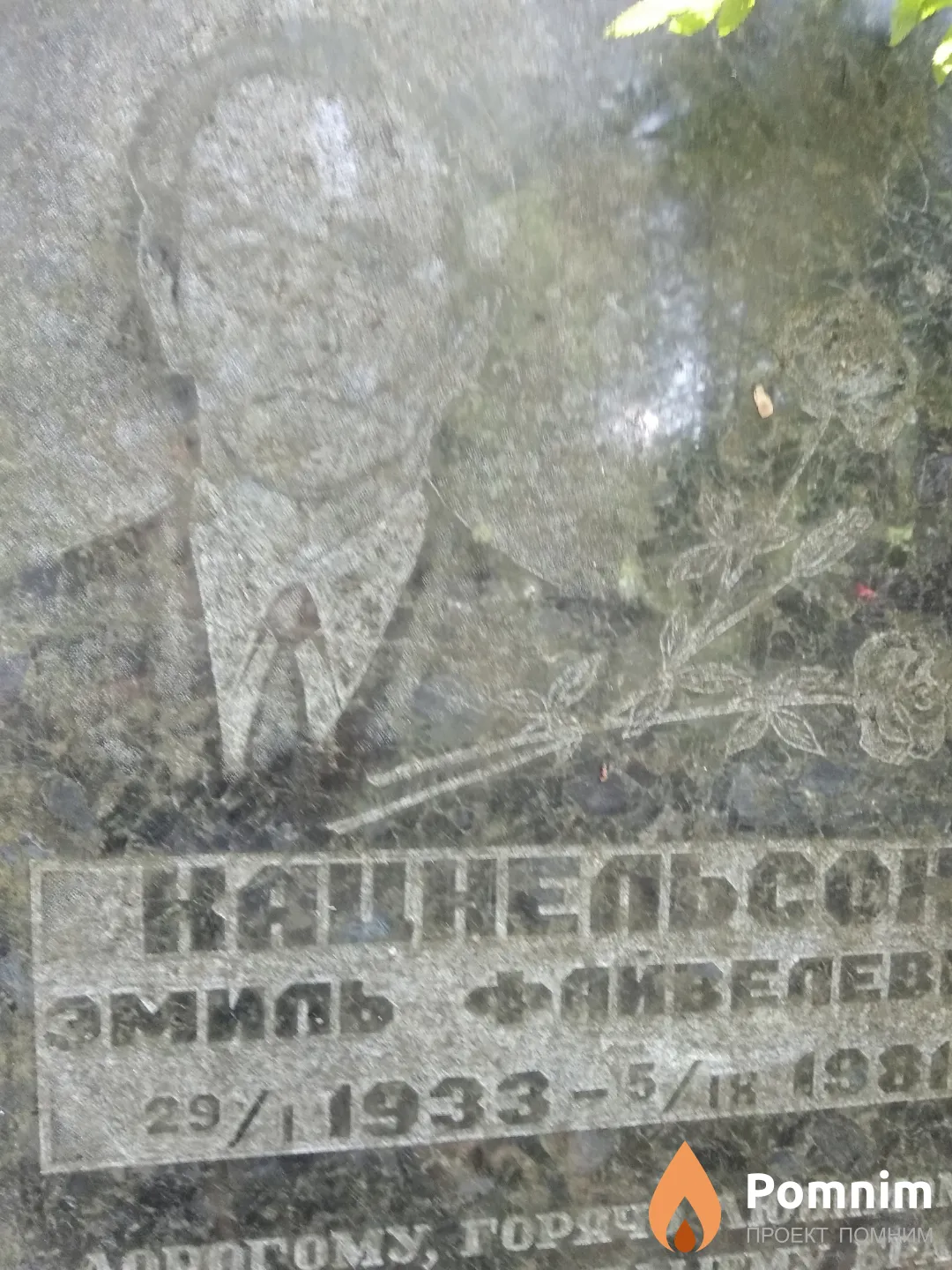 Кацнельсон Эмиль Файвелевич