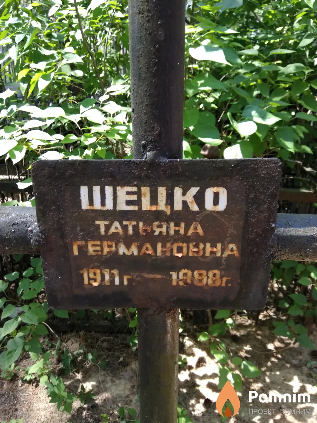 Шецко Татьяна Германовна