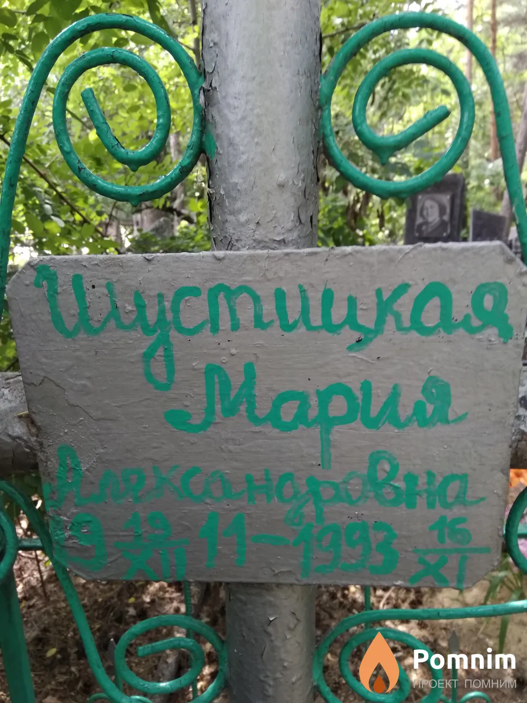 Шустицкая Мария Александровна