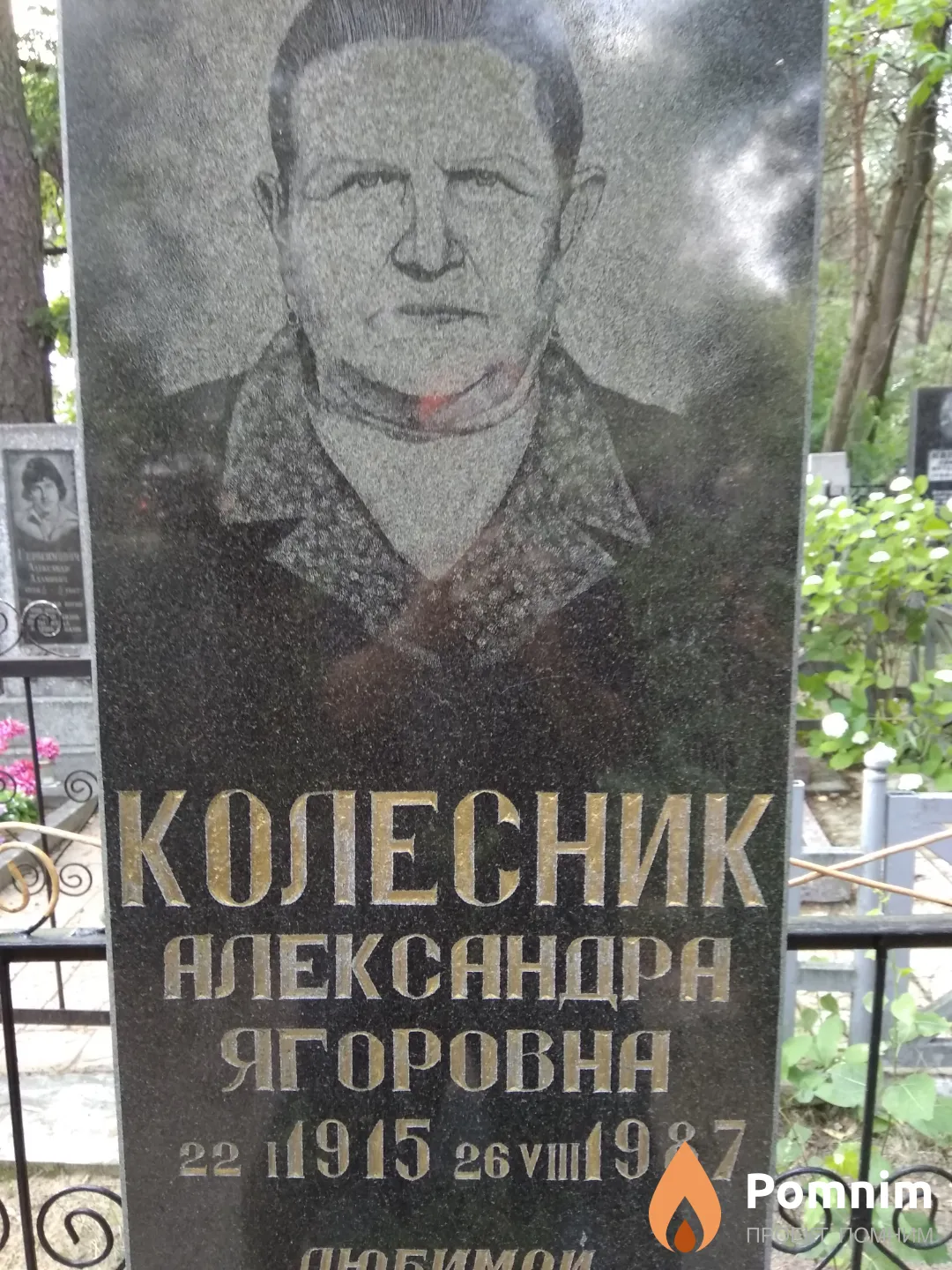 Колесник Александра Ягоровна