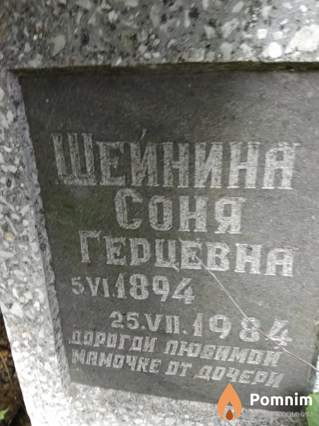 Шейнина Соня Герцевна