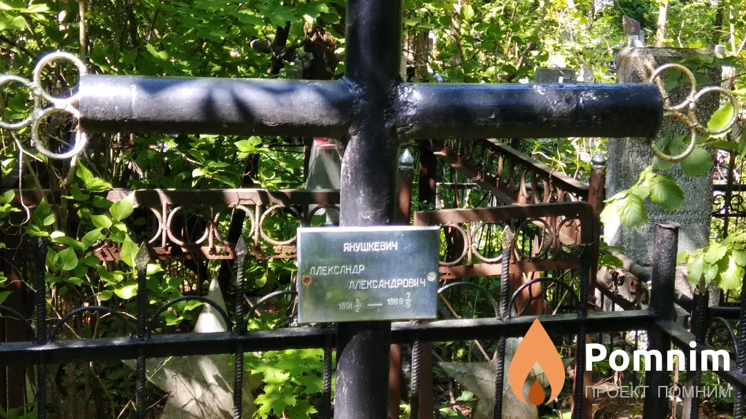 Янушкевич Александр Александрович