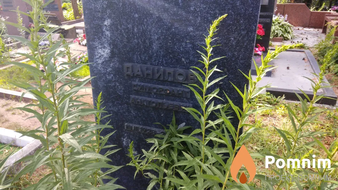 Данилов Диморфант Анатольевич