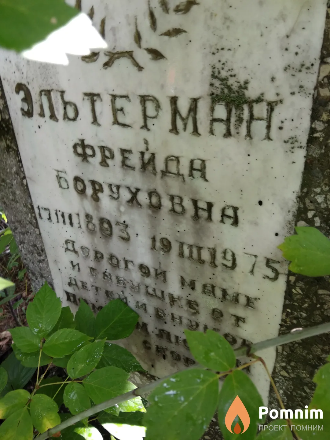 Эльтерман Фрейда Боруховна
