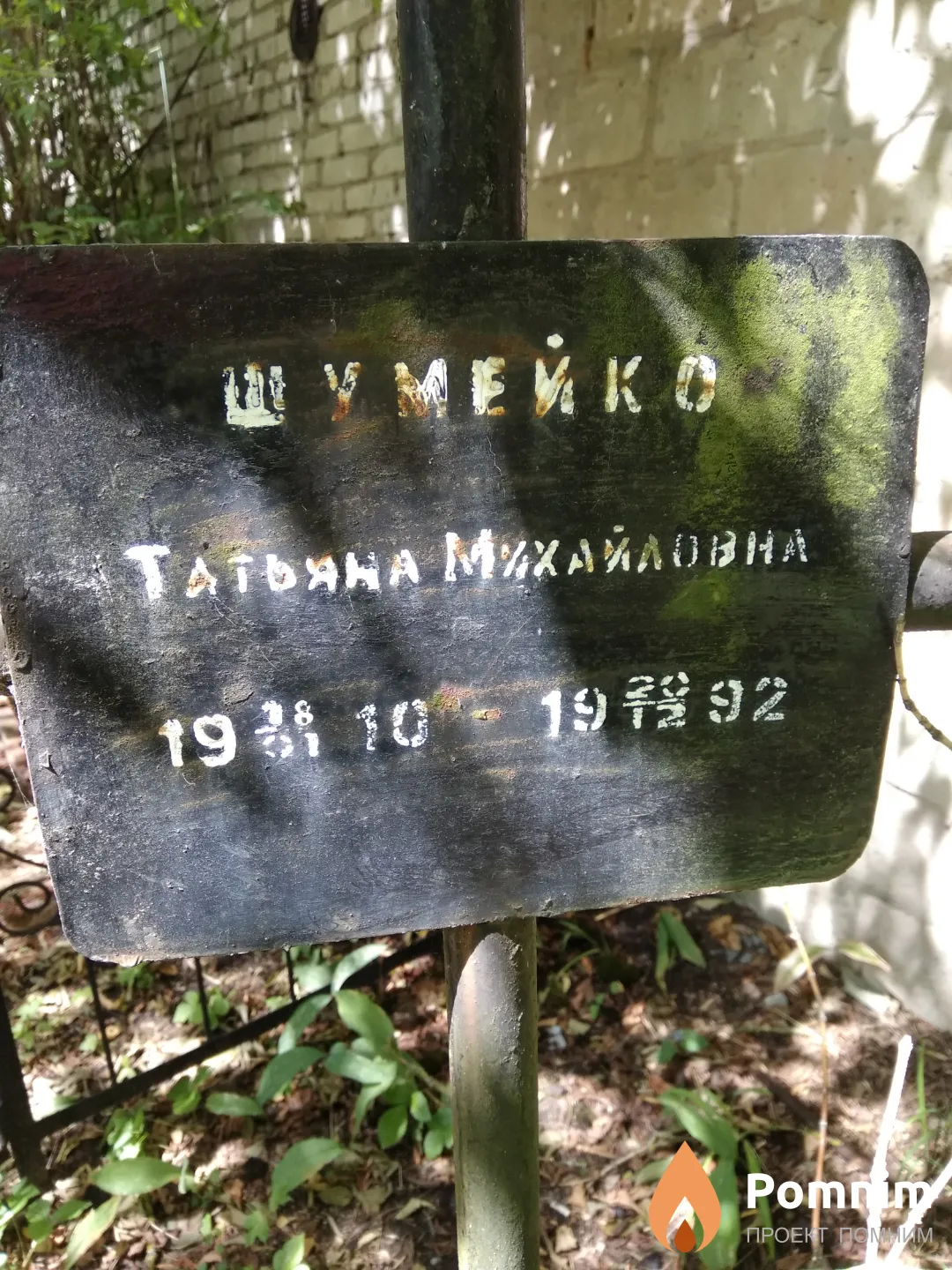 Шумейко Татьяна Михайловна