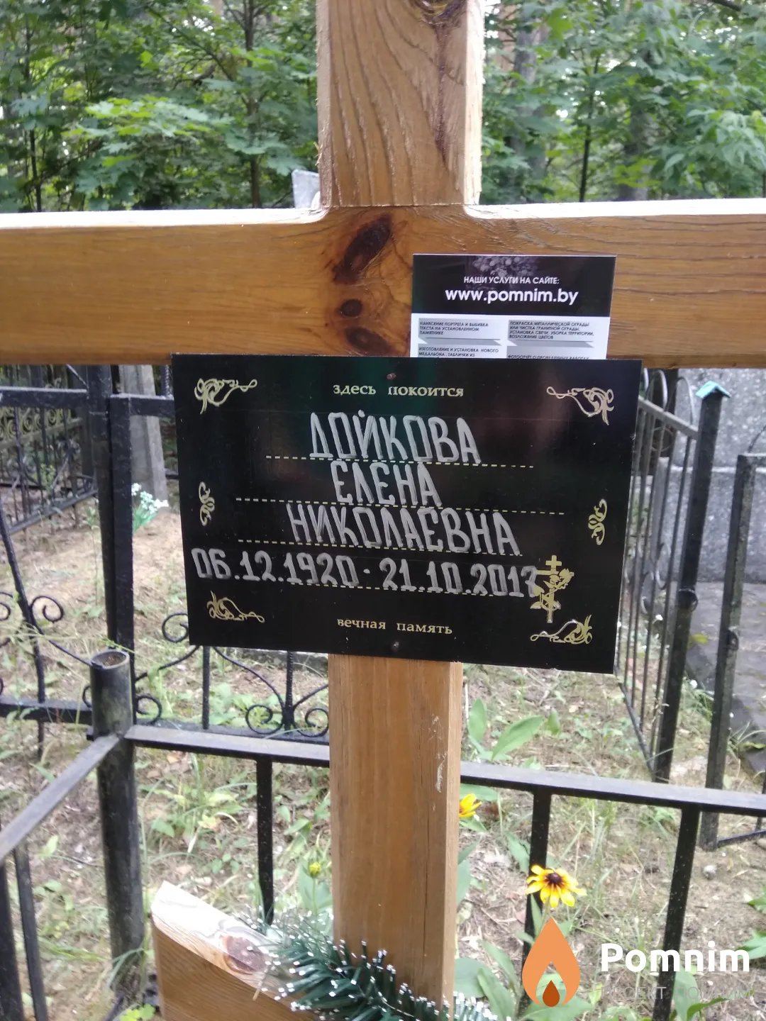 Дойкова Елена Николаевна