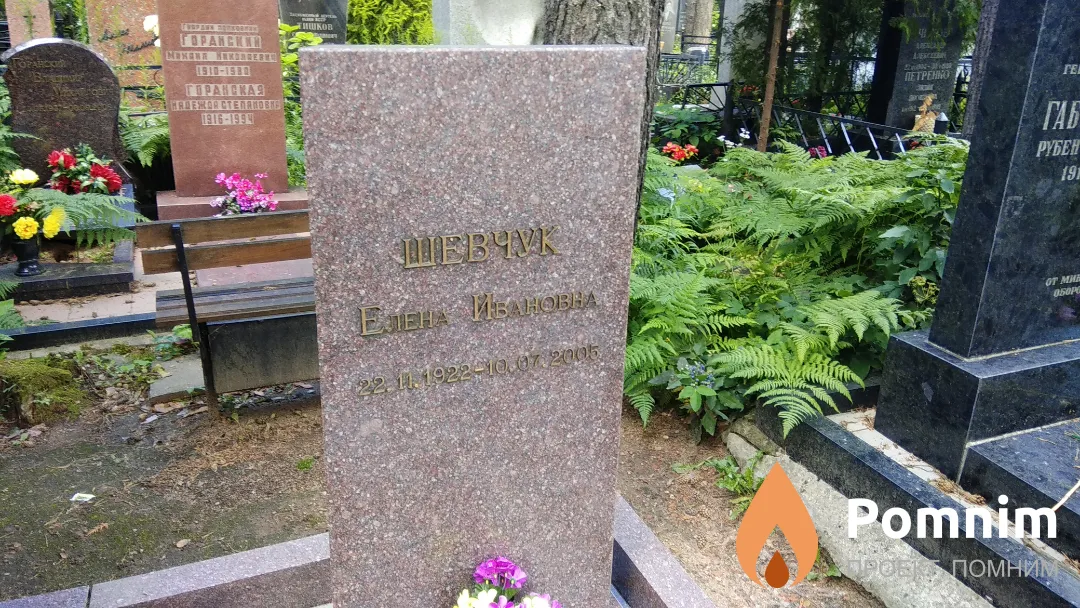 Шевчук Елена Ивановна