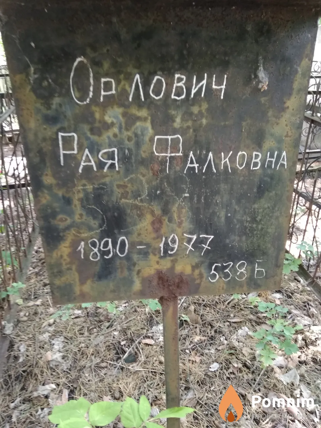 Орлович Рая Фалковна